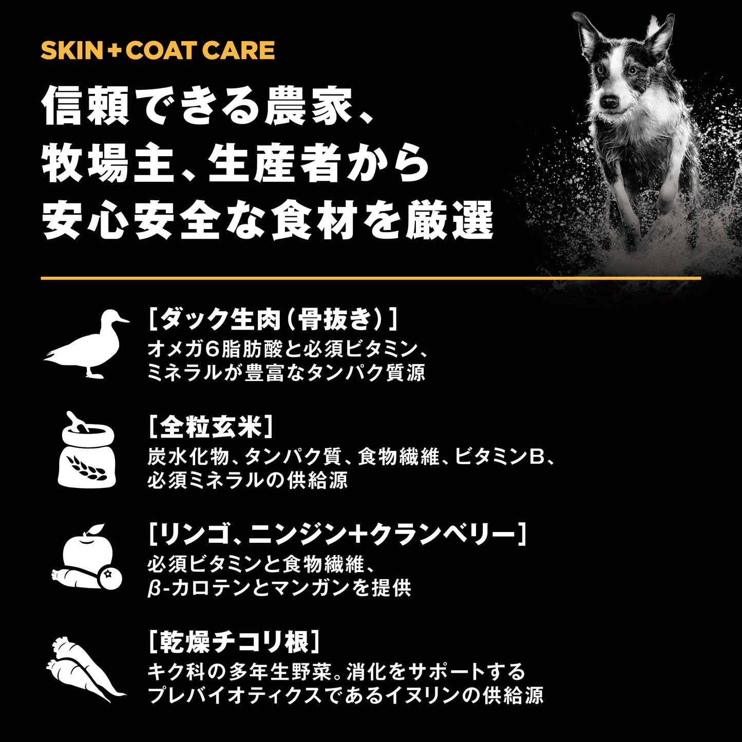 【GPN】GO! SOLUTIONS 皮膚+被毛ケア ダック9.98kg