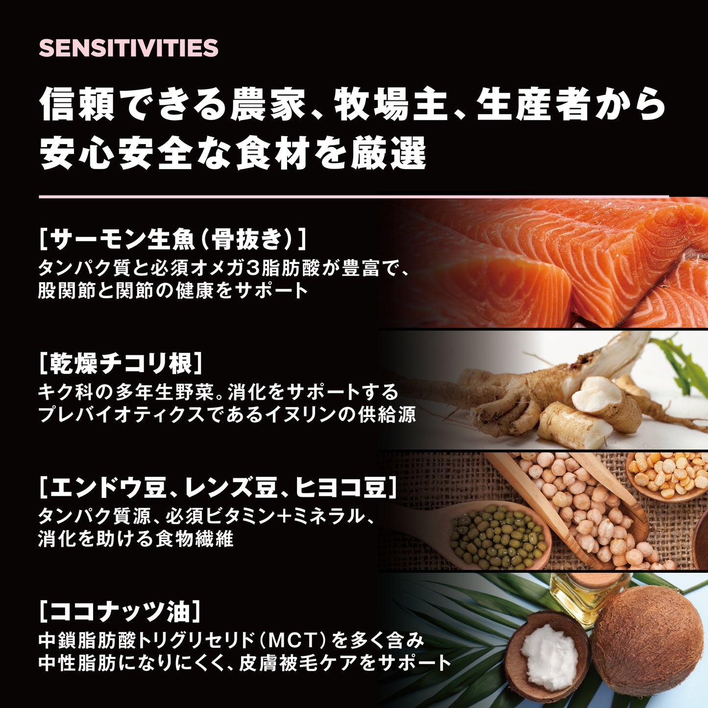 【GPN】GO! SOLUTIONS LID小粒 サーモン1.59kg