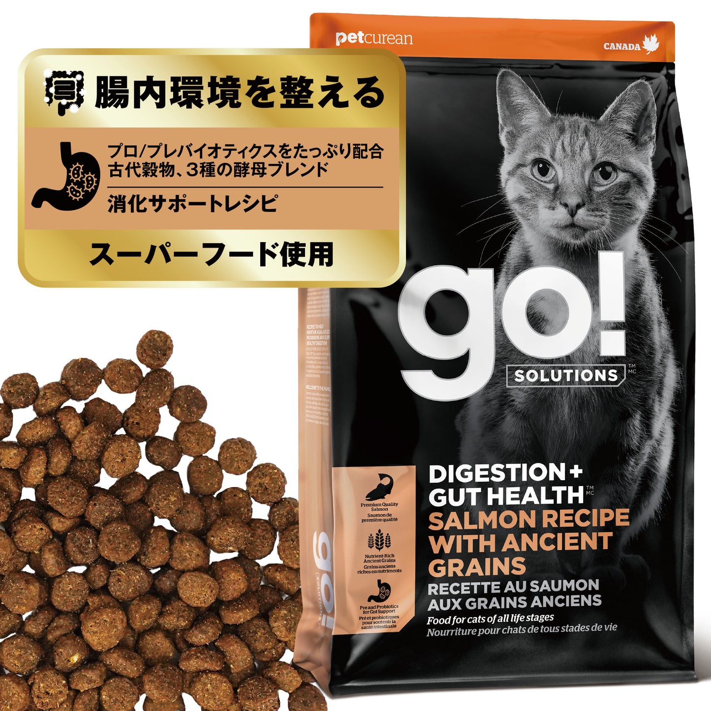 【GPN】GO! SOLUTIONS 消化+腸の健康ケア サーモンキャット7.25kg