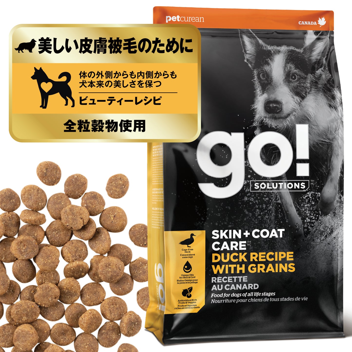 【GPN】GO! SOLUTIONS 皮膚＋被毛ケア ダック9.98kg
