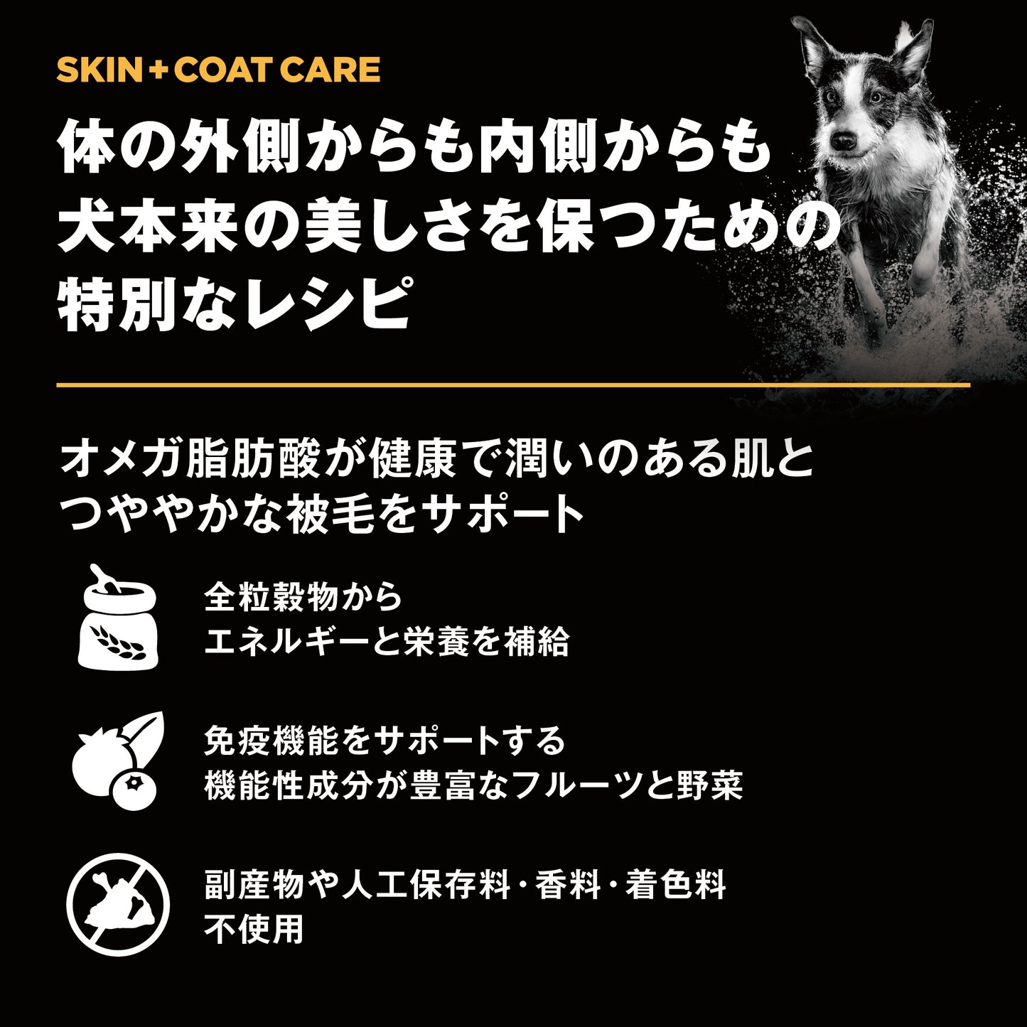 【GPN】GO! SOLUTIONS 皮膚＋被毛ケア ダック9.98kg