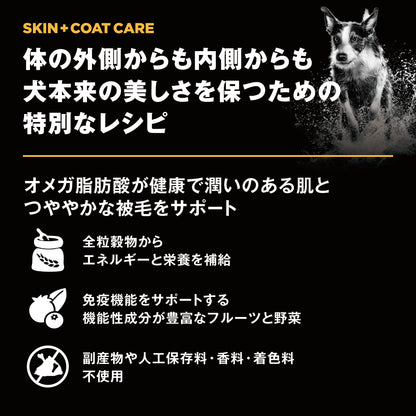 【GPN】GO! SOLUTIONS 皮膚＋被毛ケア ダック9.98kg