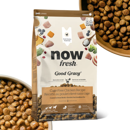 【GPN】NOW FRESH グッドグレービー オールブリード ゲージフリーチキン1.59kg