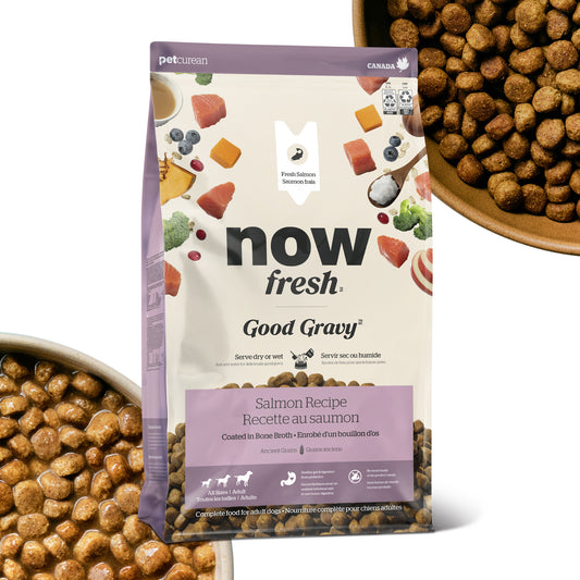 【GPN】NOW FRESH グッドグレービー オールブリード サーモン1.59kg