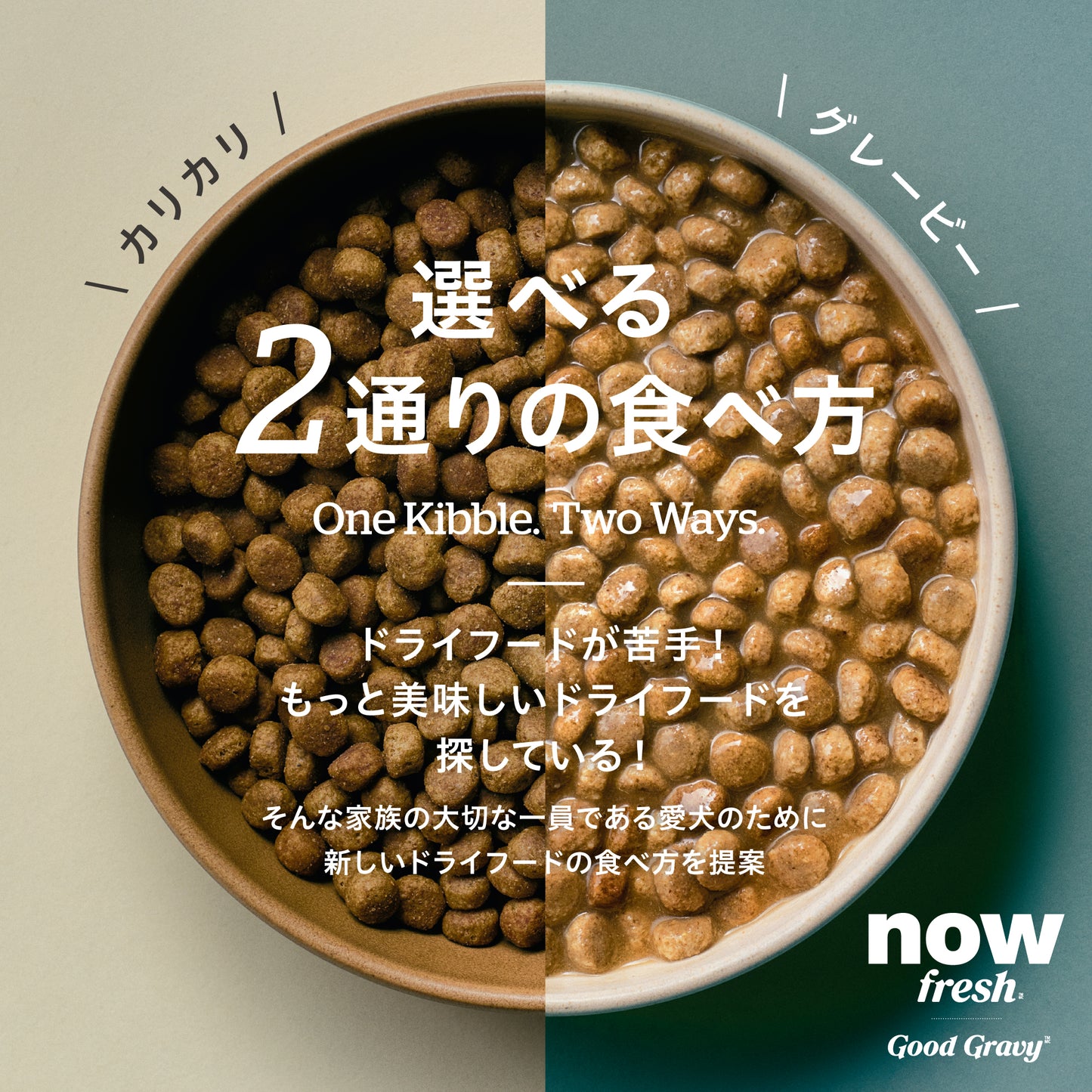 【GPN】NOW FRESH グッドグレービー オールブリード サーモン1.59kg