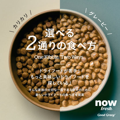 【GPN】NOW FRESH グッドグレービー オールブリード サーモン1.59kg