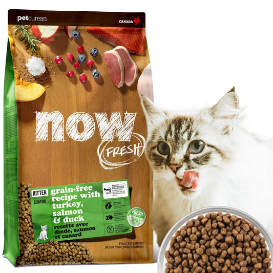 【GPN】NOW FRESH グレインフリー キトン1.36kg