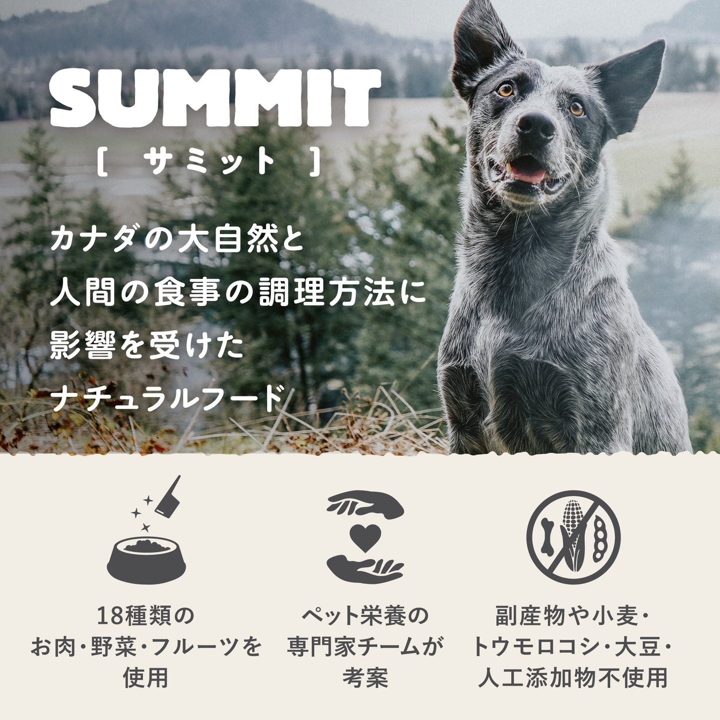 【GPN】SUMMIT コースタルグリル2.27kg